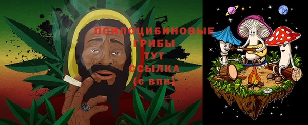 меф Арсеньев