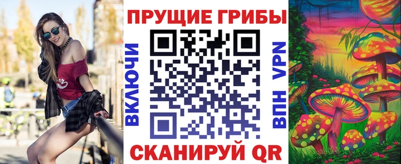 Галлюциногенные грибы Psilocybe  Оленегорск 